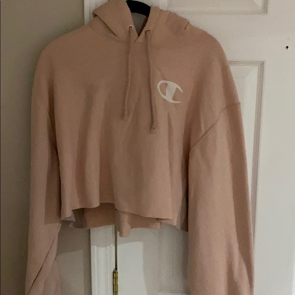 Champion Reverse Weave Cropped Hoodie